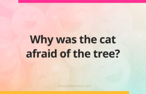 Why was the cat afraid of the tree?