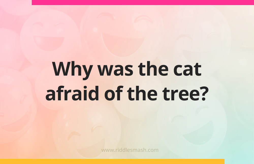 Why was the cat afraid of the tree?