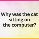 Why was the cat sitting on the computer?
