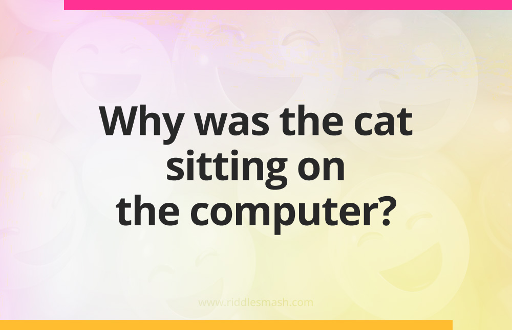 Why was the cat sitting on the computer?