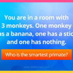 You are in a room with 3 monkeys. One monkey has a banana, one has a stick, and one has nothing. Who is the smartest primate?
