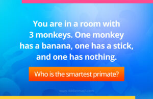 You are in a room with 3 monkeys. One monkey has a banana, one has a stick, and one has nothing. Who is the smartest primate?