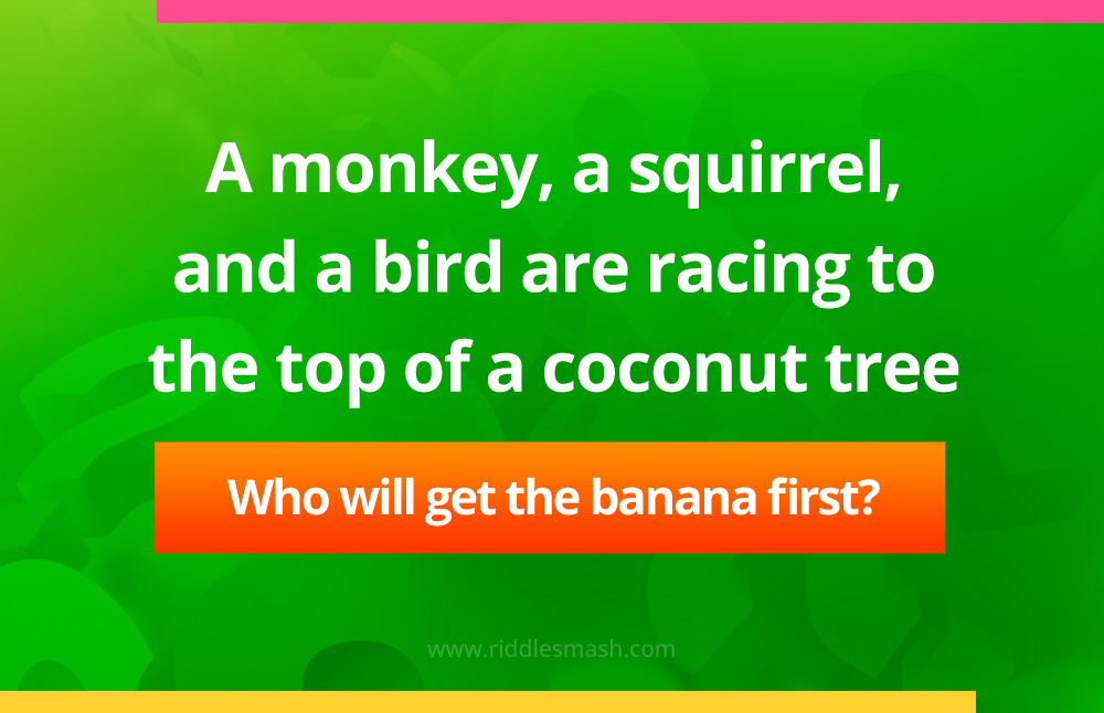 A monkey, a squirrel, and a bird are racing to the top of a coconut tree. Who will get the banana first, the monkey, the squirrel, or the bird?