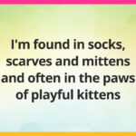 I'm found in socks, scarves and mittens and often in the paws of playful kittens.