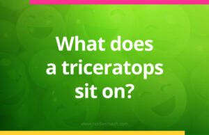 What does a triceratops sit on?