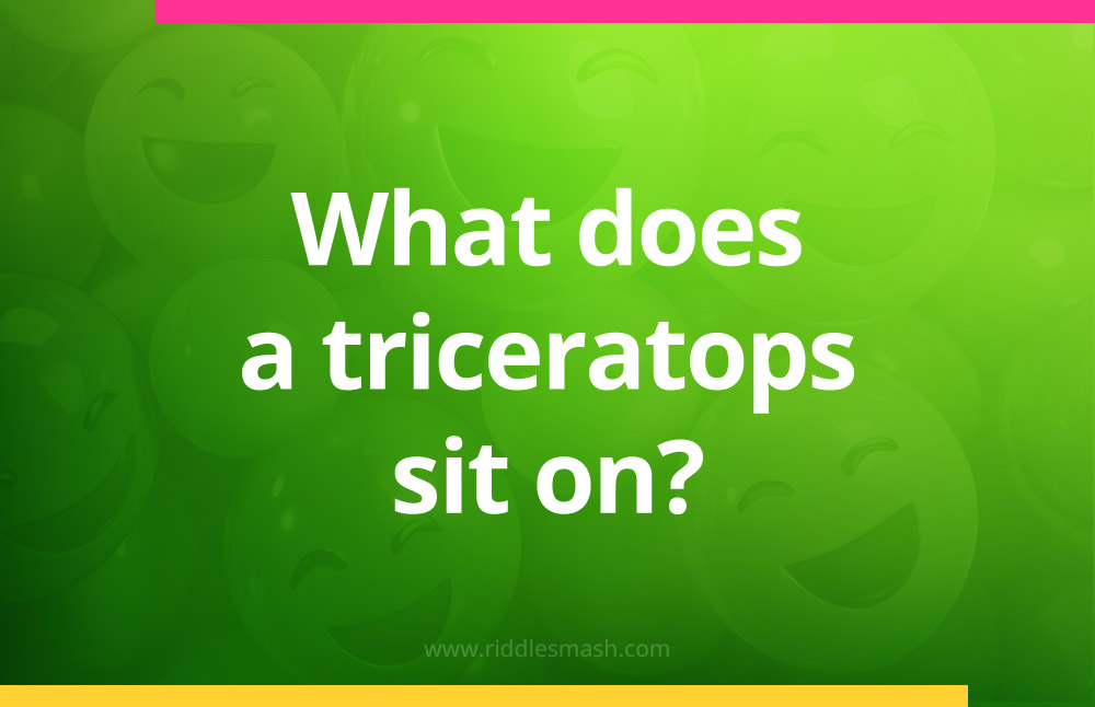 What does a triceratops sit on?