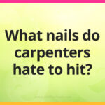 What nails do carpenters hate to hit?