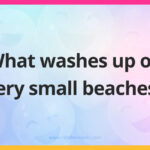 What washes up on very small beaches?