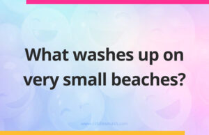 What washes up on very small beaches?