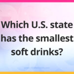 Which U.S. state has the smallest soft drinks?