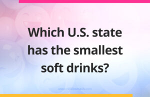 Which U.S. state has the smallest soft drinks?