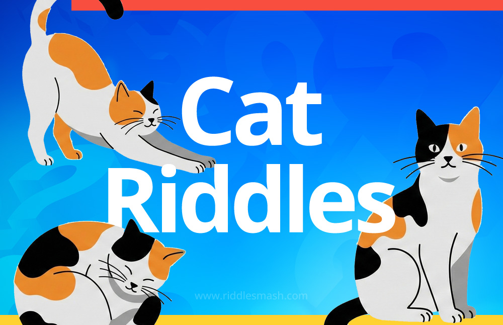 Cat Riddles