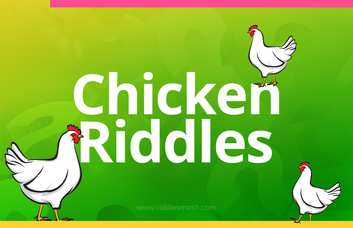 Chicken Riddles