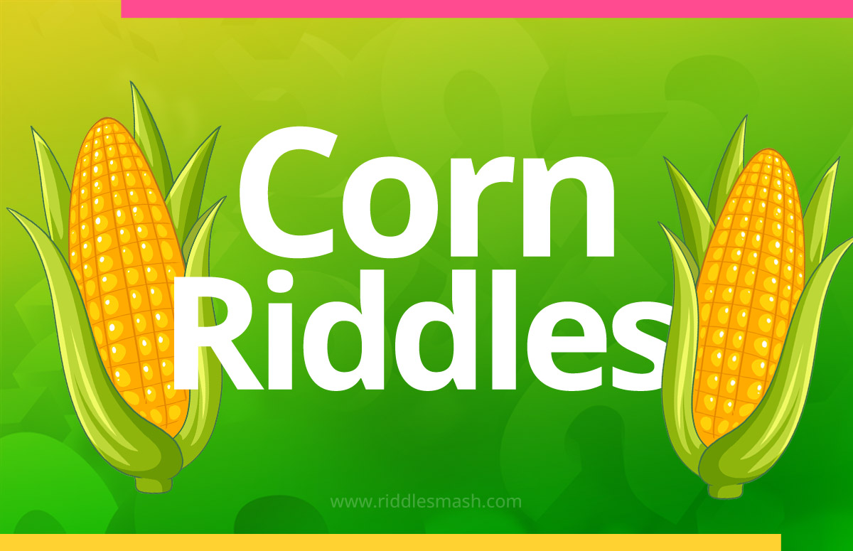 Corn Riddles