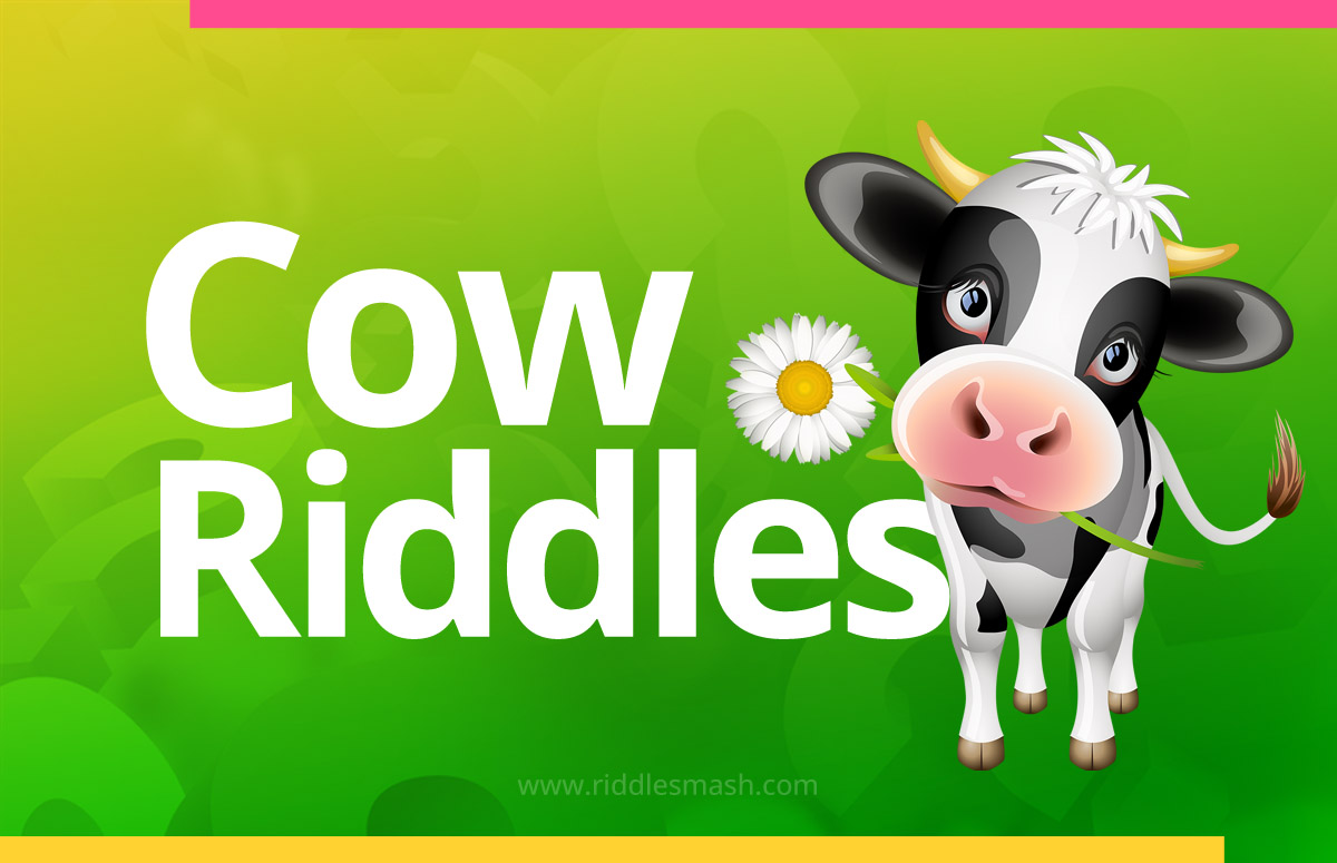 Cow​ Riddles