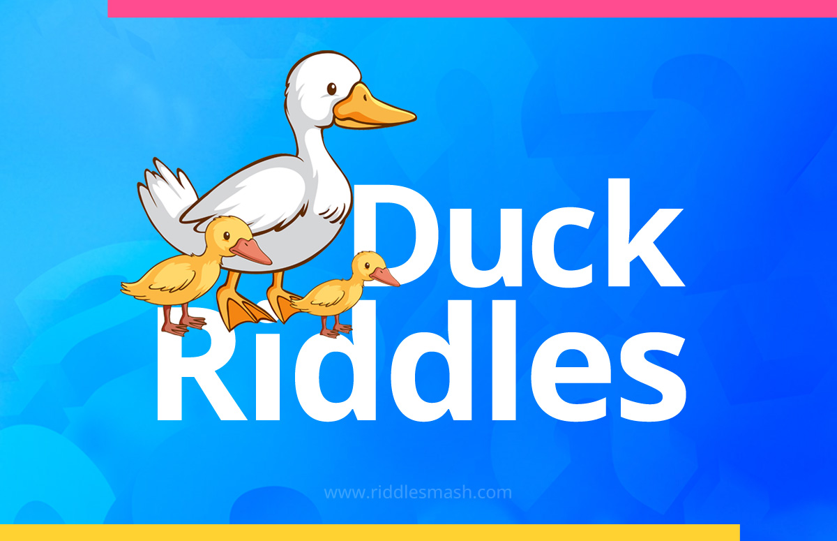 Duck​ Riddles