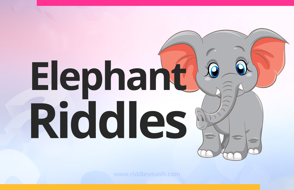 Elephant Riddles