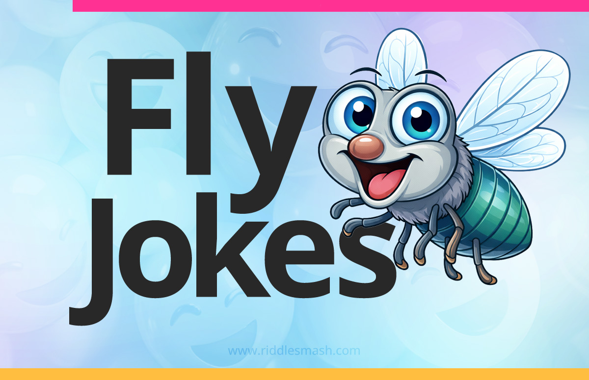 Funny fly jokes with a bug-themed illustration featuring a cartoon fly