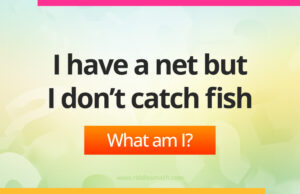 I have a net but I don’t catch fish.