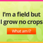 I’m a field but I grow no crops.