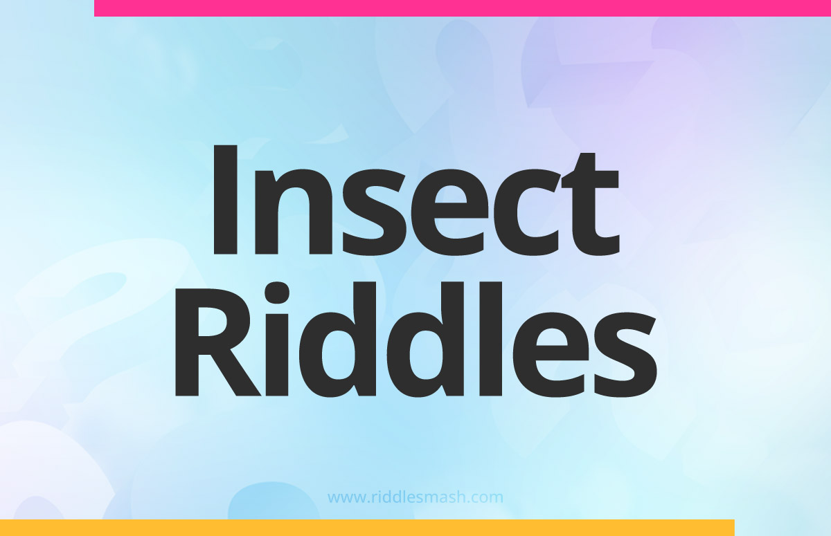 Insect​ Riddles