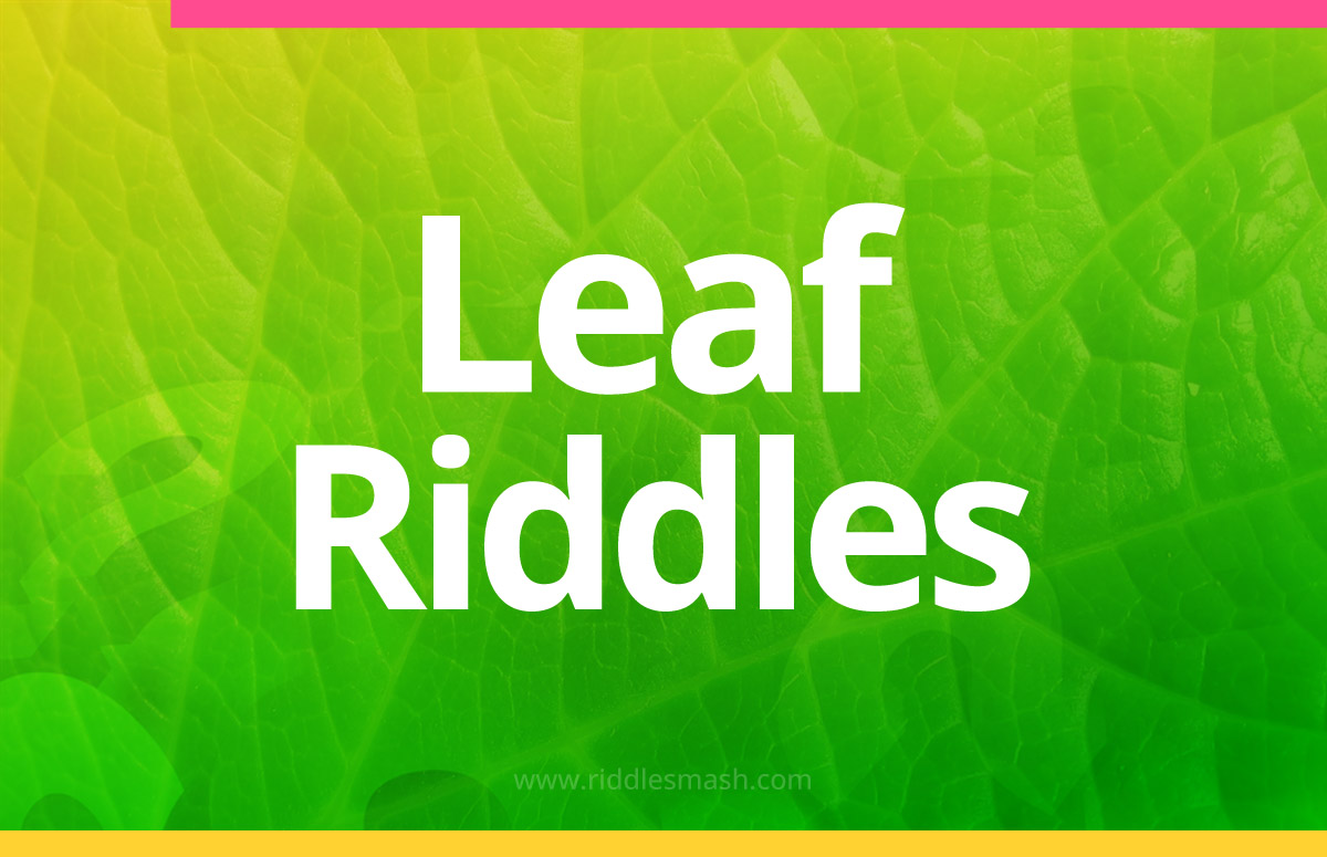 Leaf Riddles
