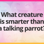 What creature is smarter than a talking parrot?
