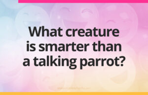 What creature is smarter than a talking parrot?