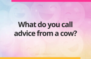 What do you call advice from a cow?