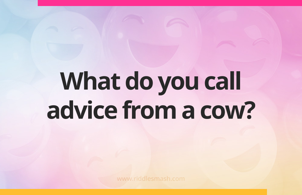 What do you call advice from a cow?