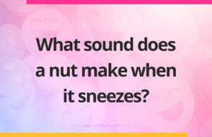 What sound does a nut make when it sneezes?