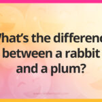 What's the difference between a rabbit and a plum?
