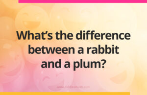 What's the difference between a rabbit and a plum?
