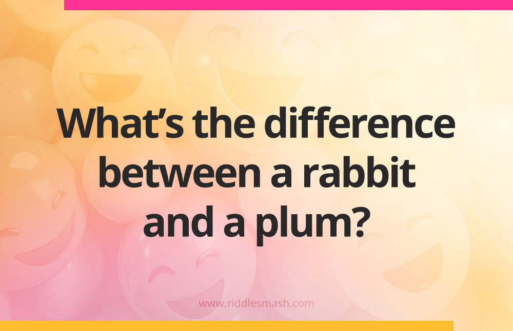 What's the difference between a rabbit and a plum?