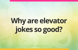 Why are elevator jokes so good?
