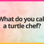 What do you call a turtle chef?