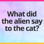 What did the alien say to the cat? 
