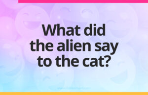 What did the alien say to the cat? 