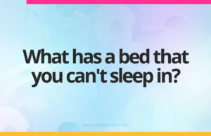 What has a bed that you can't sleep in?