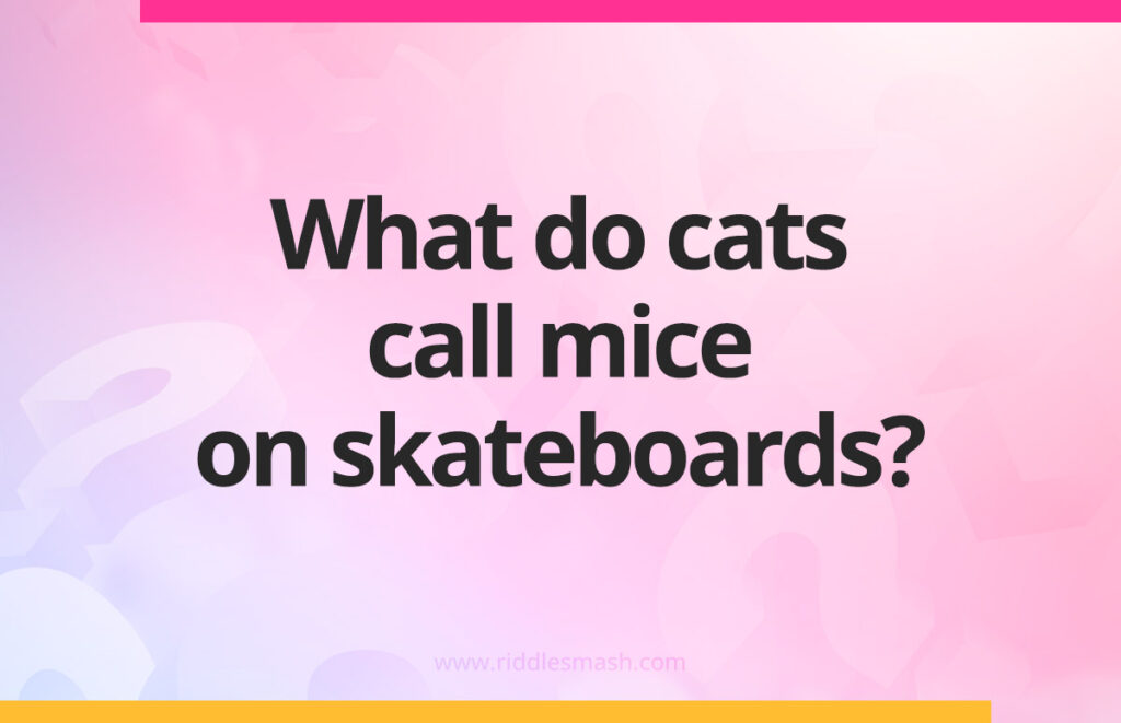 What do cats call mice on skateboards?