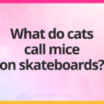 What do cats call mice on skateboards?