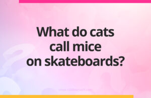 What do cats call mice on skateboards?
