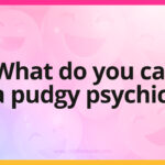 What do you call a pudgy psychic?