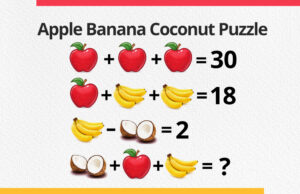 Apple Banana Coconut Puzzle